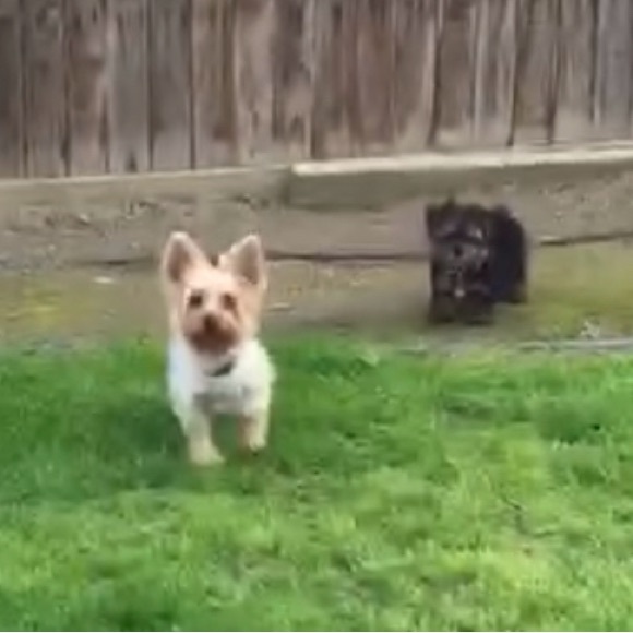 Meet your Posher, Clementines - Picture 11 of 14